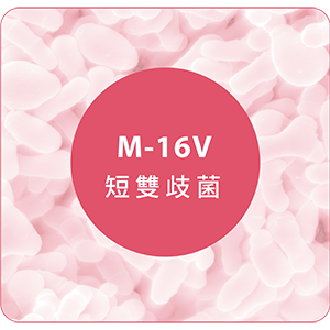 登盛企業品牌原料-M16-V