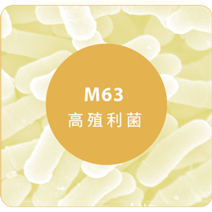 登盛企業品牌原料-M63