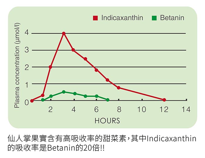 登盛企業-nexira