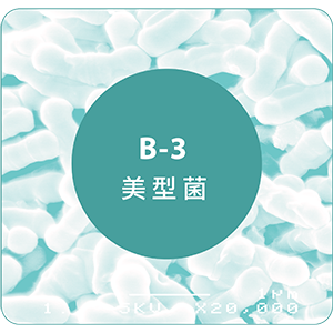 登盛企業品牌原料-B3