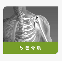 登盛企业-改善骨质原料