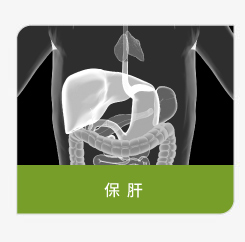 登盛企业-保肝原料