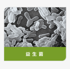 登盛企业-益生菌原料