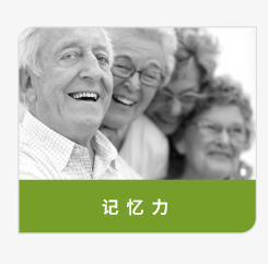 登盛企业-记忆力原料