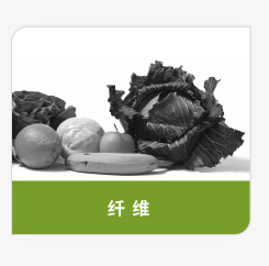 登盛企业-纤维原料