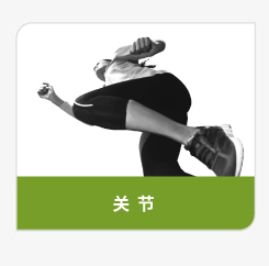 登盛企业-关节原料