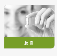 登盛企业-胶囊原料