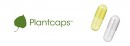 登盛企業品牌原料-素食膠囊Plantcaps